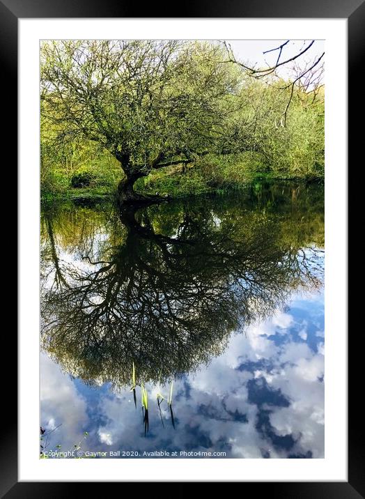 Reflections in The Frogpond  Framed Mounted Print by Gaynor Ball