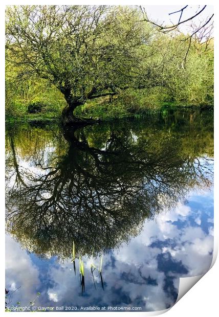 Reflections in The Frogpond  Print by Gaynor Ball