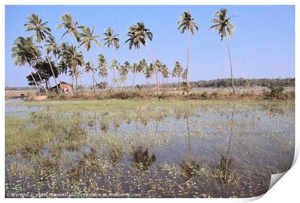 Countryside of Goa, India. Print by Kevin Plunkett