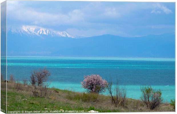 Lake Egirdir at Isparta Turkey in Springtime Canvas Print by Engin Sezer