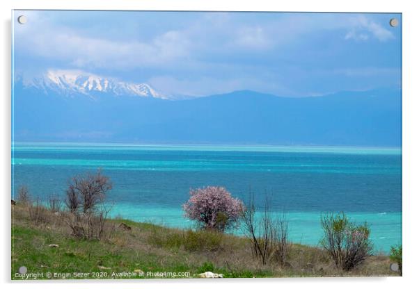 Lake Egirdir at Isparta Turkey in Springtime Acrylic by Engin Sezer
