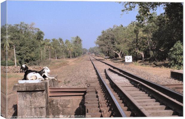 Railway Lines, Margo, Goa Canvas Print by Kevin Plunkett