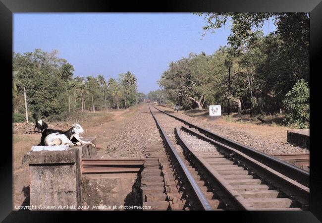 Railway Lines, Margo, Goa Framed Print by Kevin Plunkett