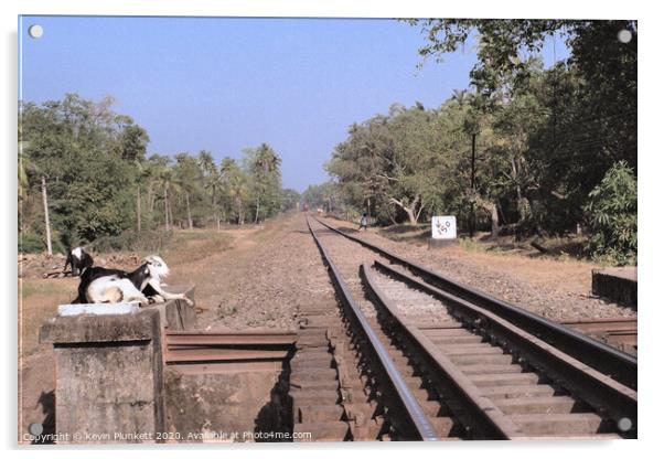 Railway Lines, Margo, Goa Acrylic by Kevin Plunkett