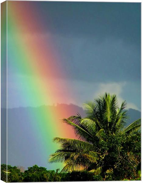 At the End of the Rainbow Canvas Print by Serena Bowles