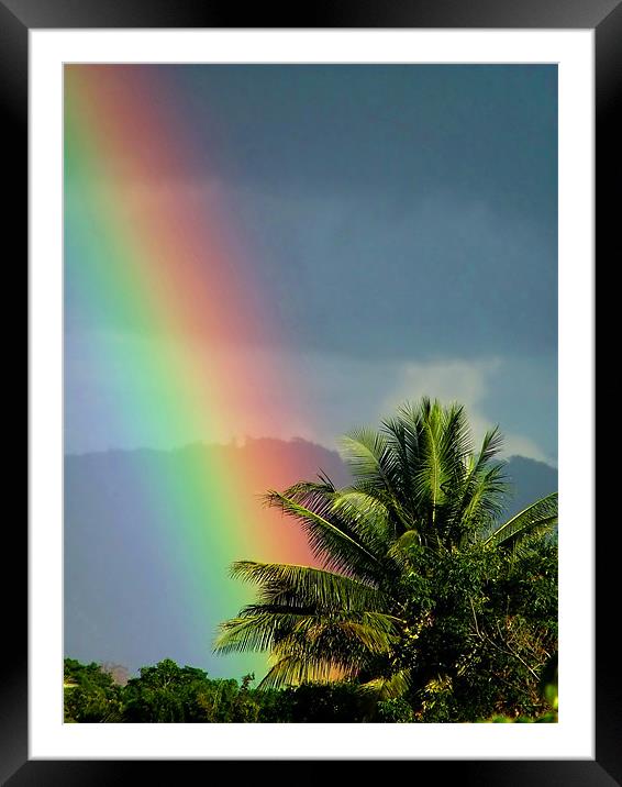 At the End of the Rainbow Framed Mounted Print by Serena Bowles