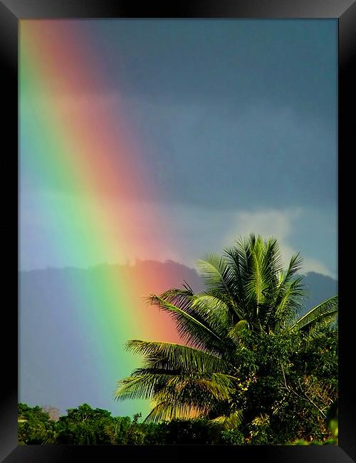 At the End of the Rainbow Framed Print by Serena Bowles