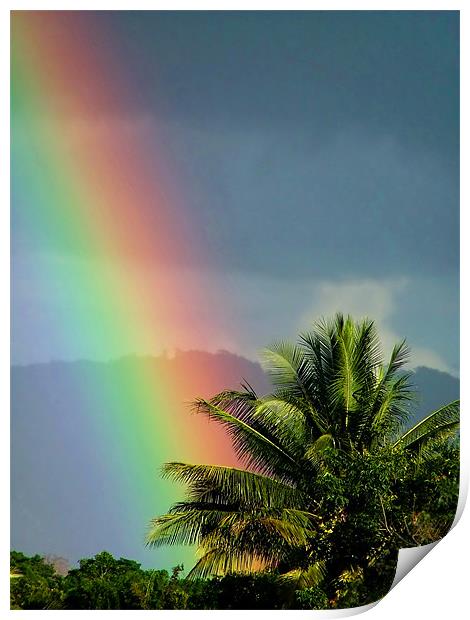 At the End of the Rainbow Print by Serena Bowles