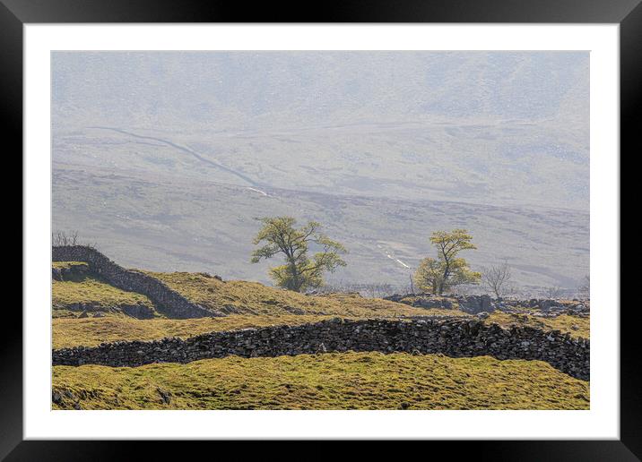 Yorkshire dales Framed Mounted Print by chris smith