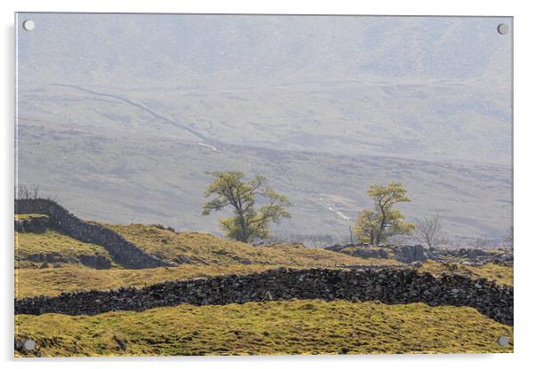 Yorkshire dales Acrylic by chris smith