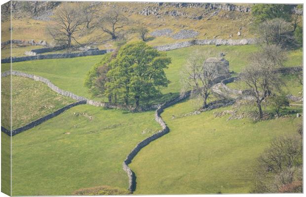 Yorkshire dales Canvas Print by chris smith