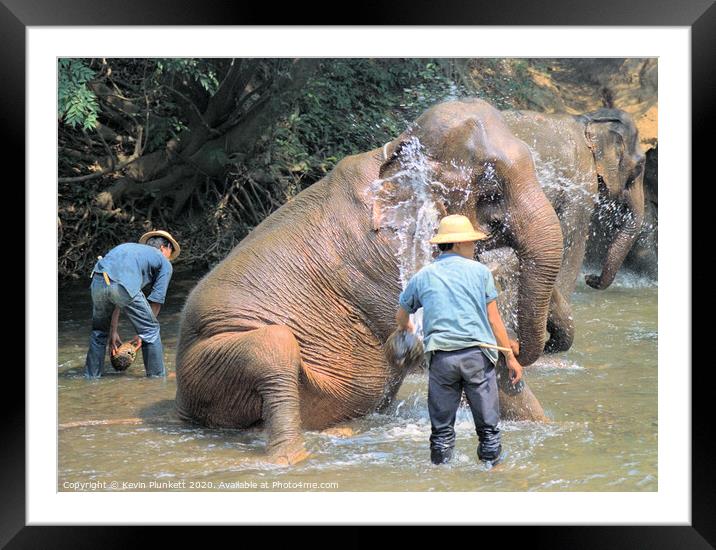 Elephants of Thailand Framed Mounted Print by Kevin Plunkett