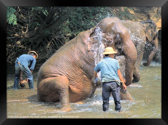 Elephants of Thailand Framed Print by Kevin Plunkett
