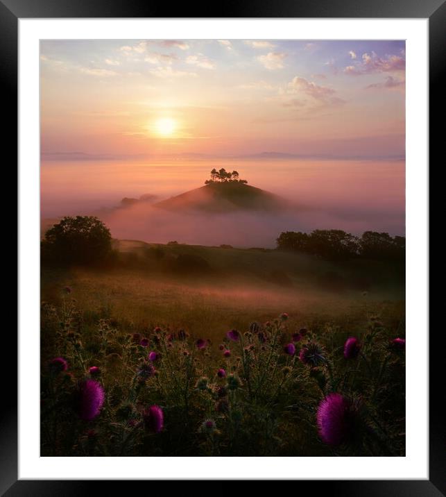 Magenta Mists Framed Mounted Print by David Neighbour