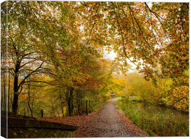 Autumn at Daisy Nook  Canvas Print by Vicky Outen