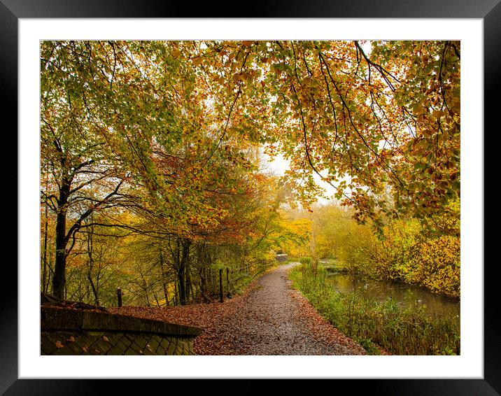 Autumn at Daisy Nook  Framed Mounted Print by Vicky Outen