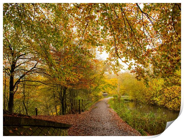 Autumn at Daisy Nook  Print by Vicky Outen