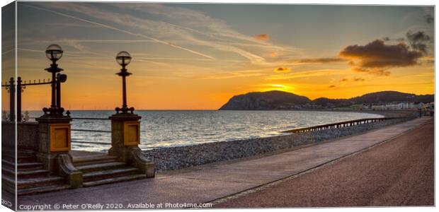 The Promenade & Little Orme, Llandudno Canvas Print by Peter O'Reilly