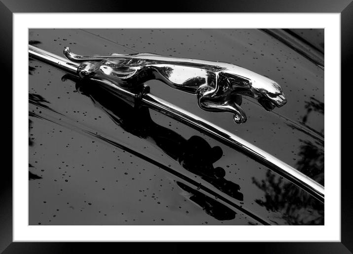 Jaguar XK 150 hood ornament Framed Mounted Print by Jim Hughes