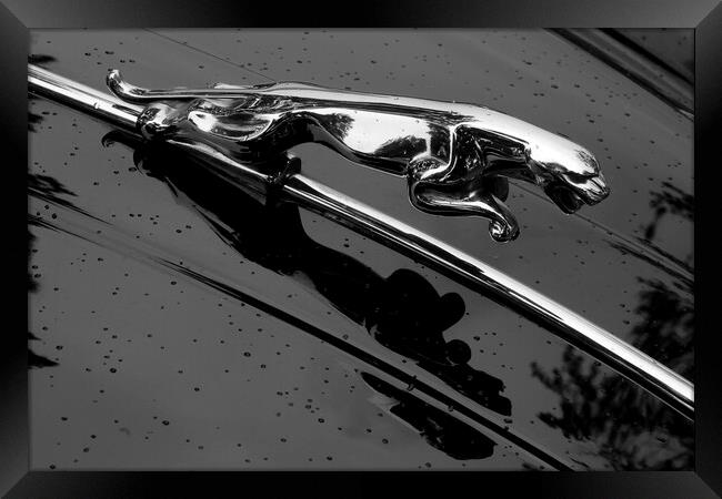 Jaguar XK 150 hood ornament Framed Print by Jim Hughes