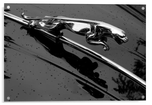 Jaguar XK 150 hood ornament Acrylic by Jim Hughes