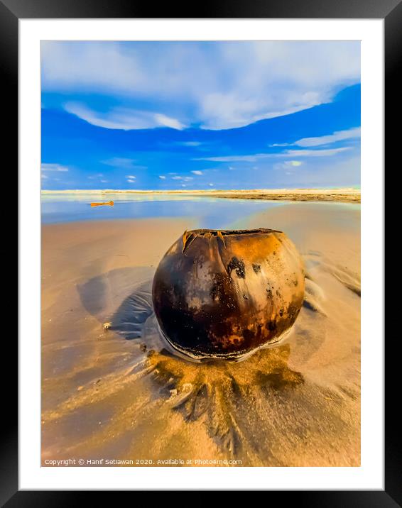 Coconut on sand beach 2 Framed Mounted Print by Hanif Setiawan