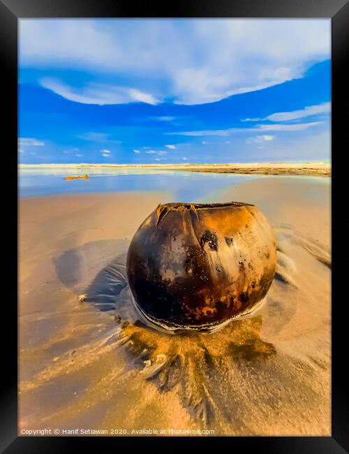 Coconut on sand beach 2 Framed Print by Hanif Setiawan