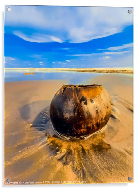 Coconut on sand beach 2 Acrylic by Hanif Setiawan