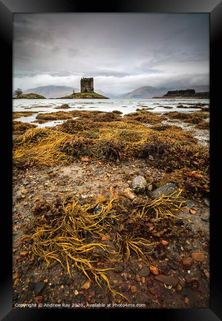 Low tide at Castle Stalker Framed Print by Andrew Ray