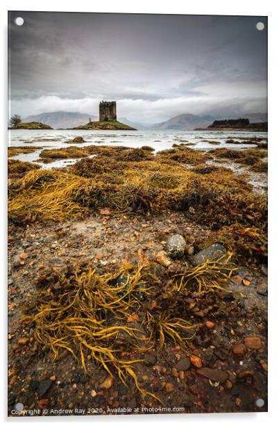 Low tide at Castle Stalker Acrylic by Andrew Ray