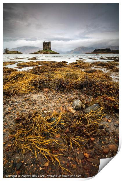 Low tide at Castle Stalker Print by Andrew Ray