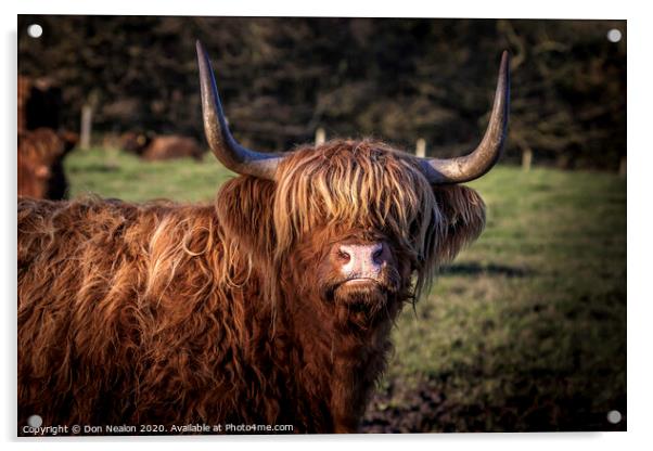 Highland fringe Acrylic by Don Nealon