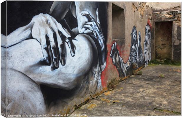 Graffiti in Sutherland Canvas Print by Andrew Ray
