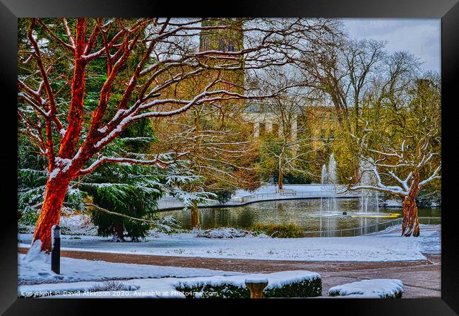 Winter in the park Framed Print by David Atkinson