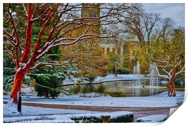 Winter in the park Print by David Atkinson