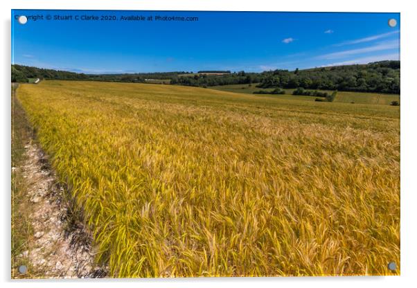 Field of crops Acrylic by Stuart C Clarke