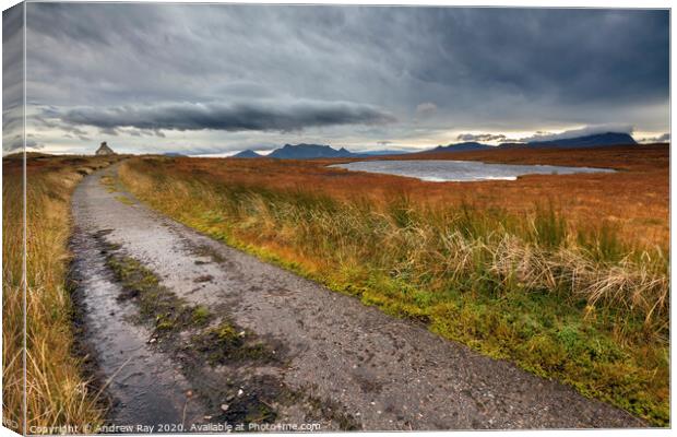 The Old Road (Moine Ho) Canvas Print by Andrew Ray