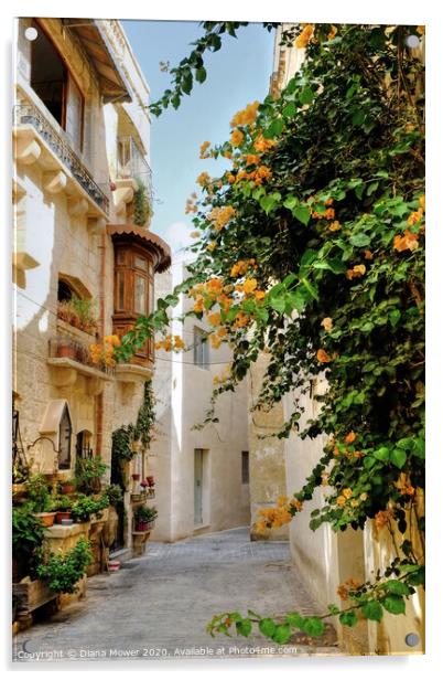 Rabat town Mdina Malta Acrylic by Diana Mower