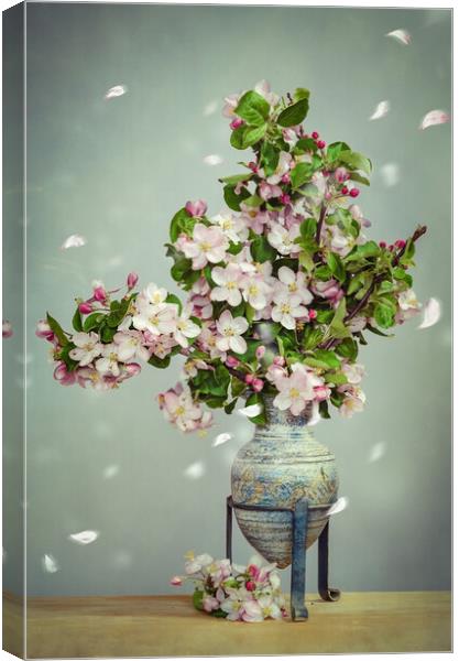 Apple Blossom Stillife Canvas Print by Steffen Gierok-Latniak