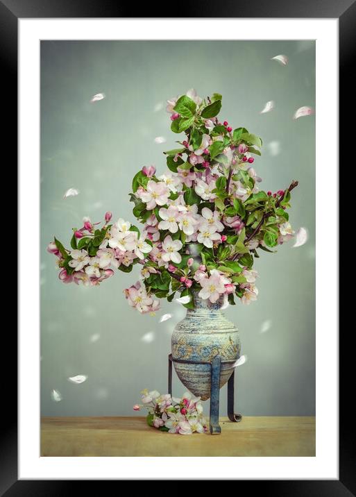 Apple Blossom Stillife Framed Mounted Print by Steffen Gierok-Latniak