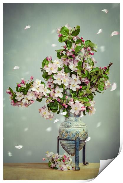 Apple Blossom Stillife Print by Steffen Gierok-Latniak