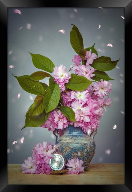 Spring flower Stillife Framed Print by Steffen Gierok-Latniak
