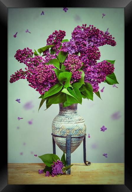 Lilac Stillife Framed Print by Steffen Gierok-Latniak