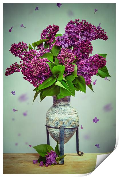 Lilac Stillife Print by Steffen Gierok-Latniak