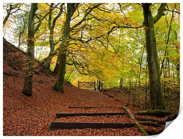 Autumn at Daisy Nook, Stockport Print by Vicky Outen