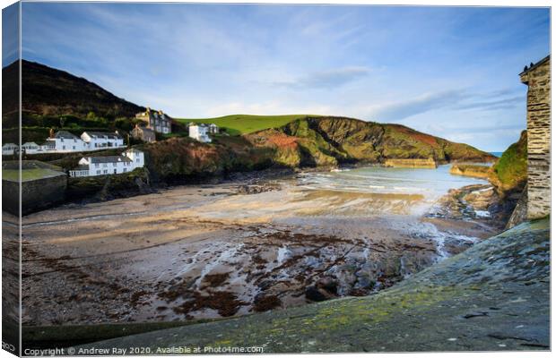 Low tide at Porth Issac Canvas Print by Andrew Ray