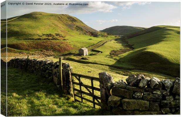 Pennine Way Viewpoint, Harthwaite, Dufton, Cumbria, UK Canvas Print by David Forster