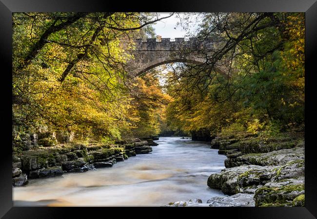 Abbey Bridge and the River Tees Near Barnard Castle in Autumn Framed Print by David Forster