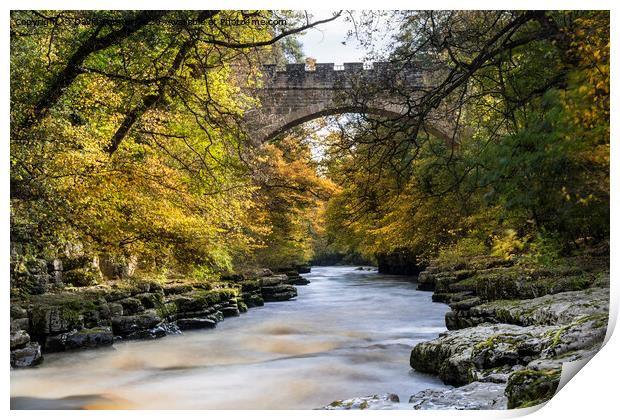 Abbey Bridge and the River Tees Near Barnard Castle in Autumn Print by David Forster