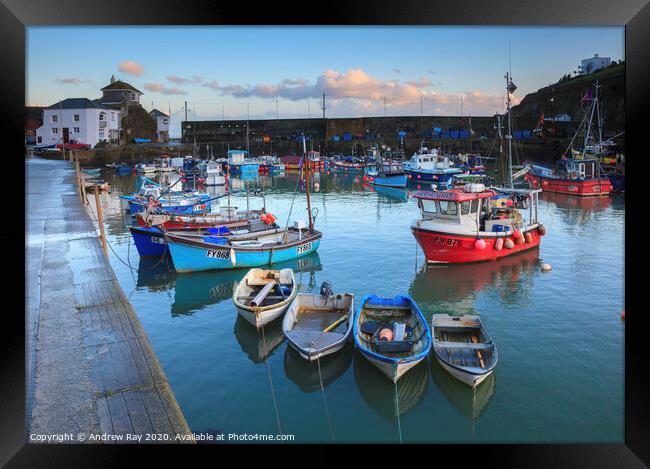 Boats in the inner harbour (Mevagissey) Framed Print by Andrew Ray